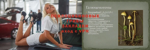 шишки Алексин